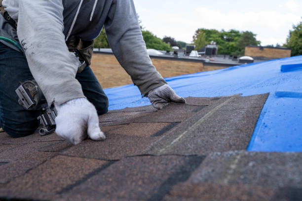 Best Flat Roof Repair Services  in Nutter Fort, WV