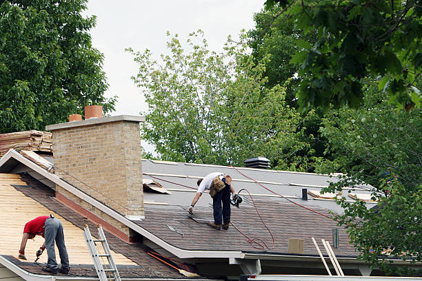 Roof Gutter Cleaning in Nutter Fort, WV