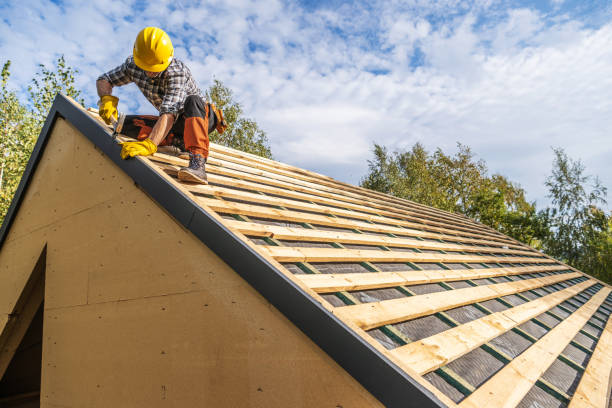 Best Roof Leak Repair  in Nutter Fort, WV
