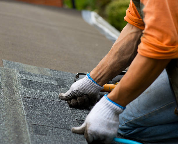 Best Roofing Contractor Near Me  in Nutter Fort, WV