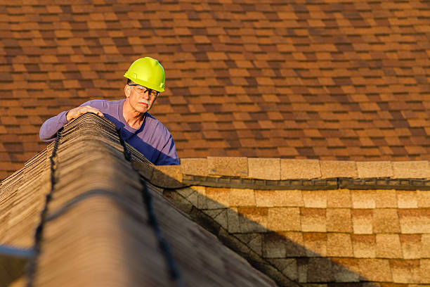Best Roof Gutter Cleaning  in Nutter Fort, WV