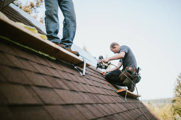 Best Local Roofing Companies  in Nutter Fort, WV
