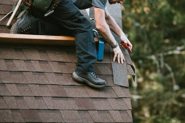 Best New Roof Installation  in Nutter Fort, WV